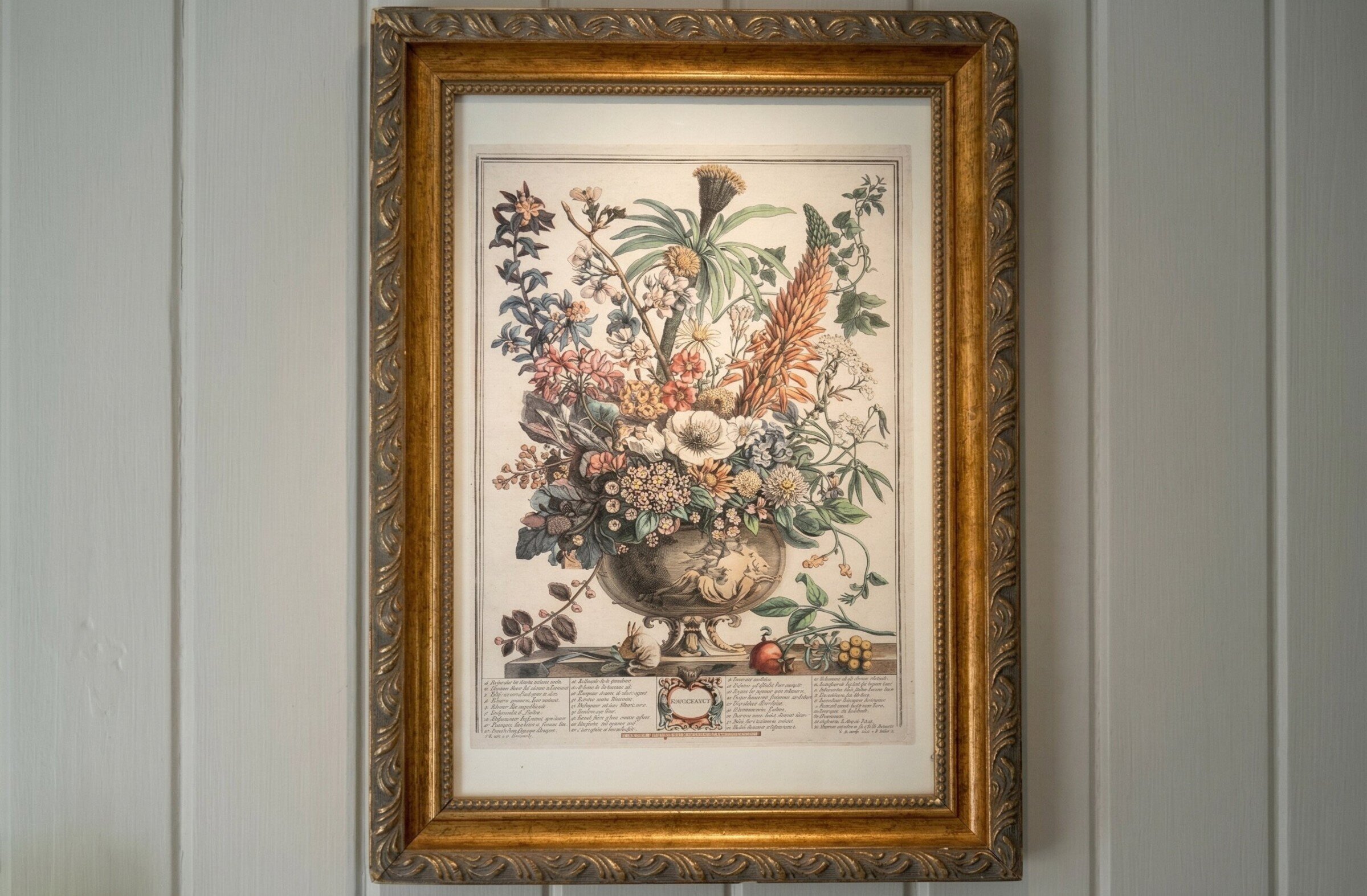 Gravure botanique encadrée avec fleurs dans un vase.