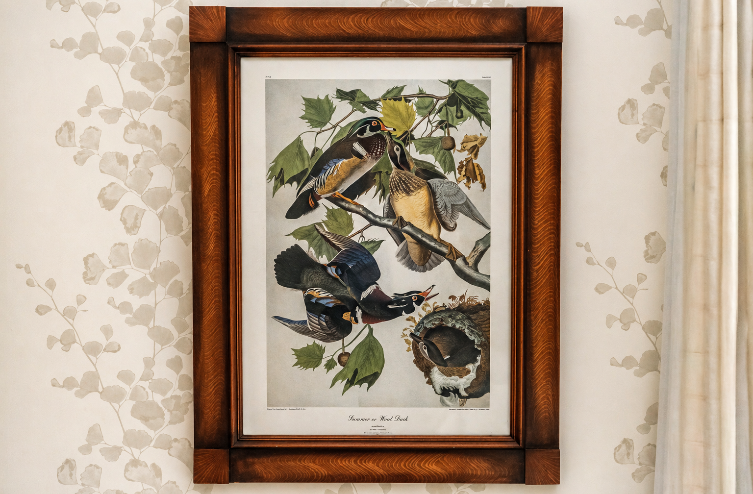 Illustration encadrée d’oiseaux dans un cadre en bois, décor mural d’une chambre.