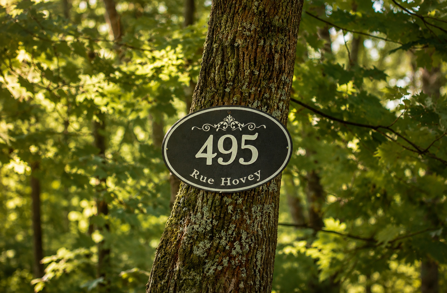 A wooden sign hanging from a tree in the forest.