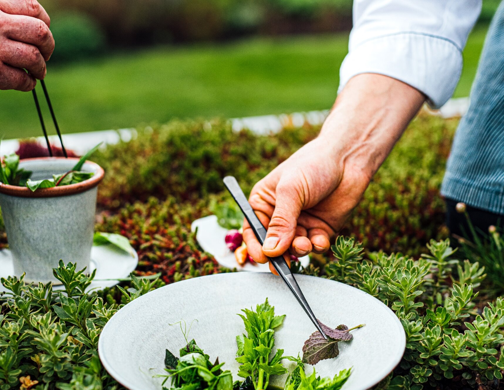 The chef plating a dish