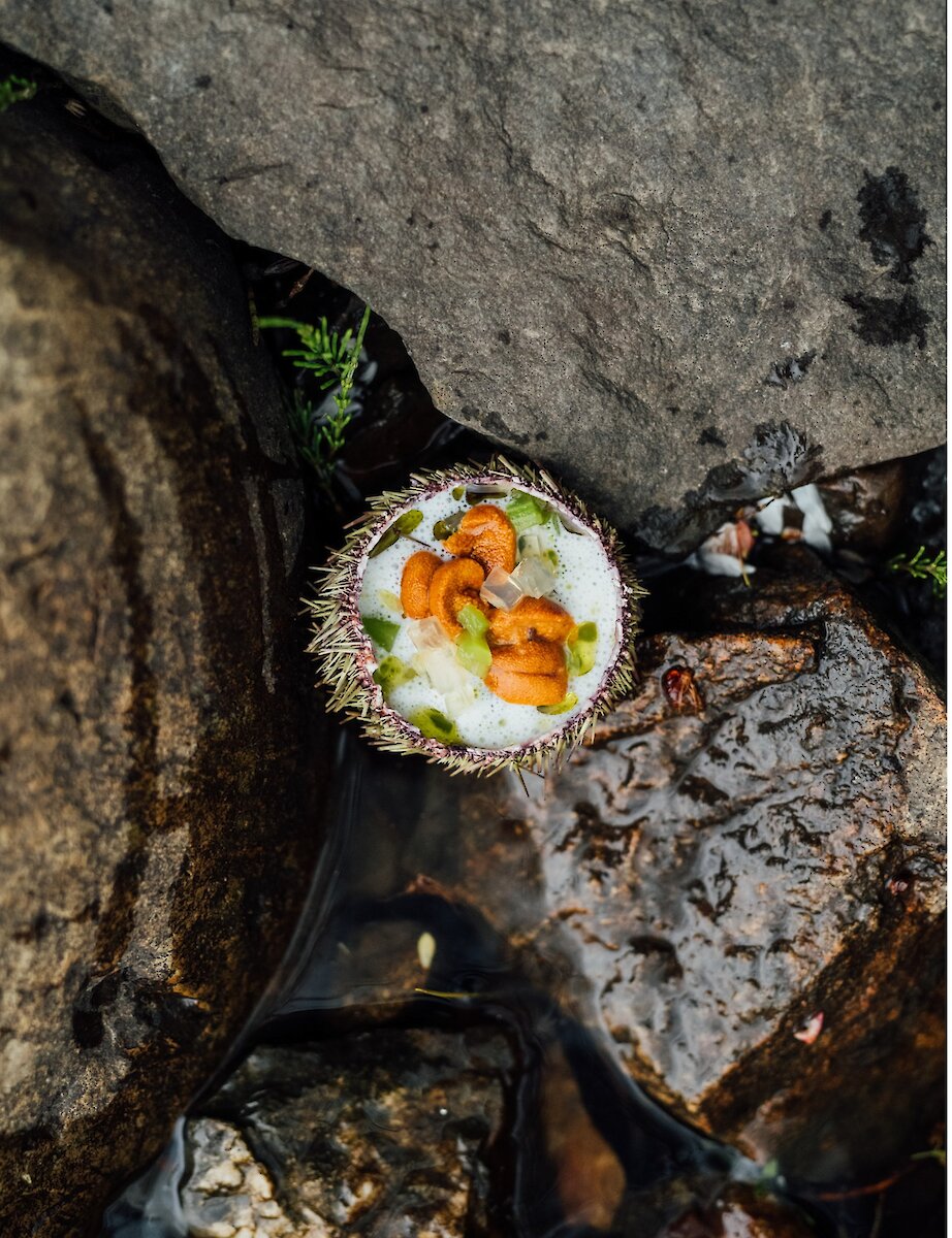 Oursin servi dans sa coquille, niché parmi les rochers du littoral.
