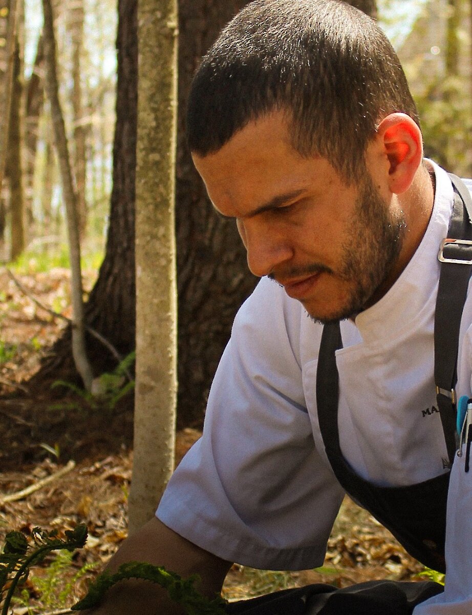 Chef Vachon picking wild herbs in the forest