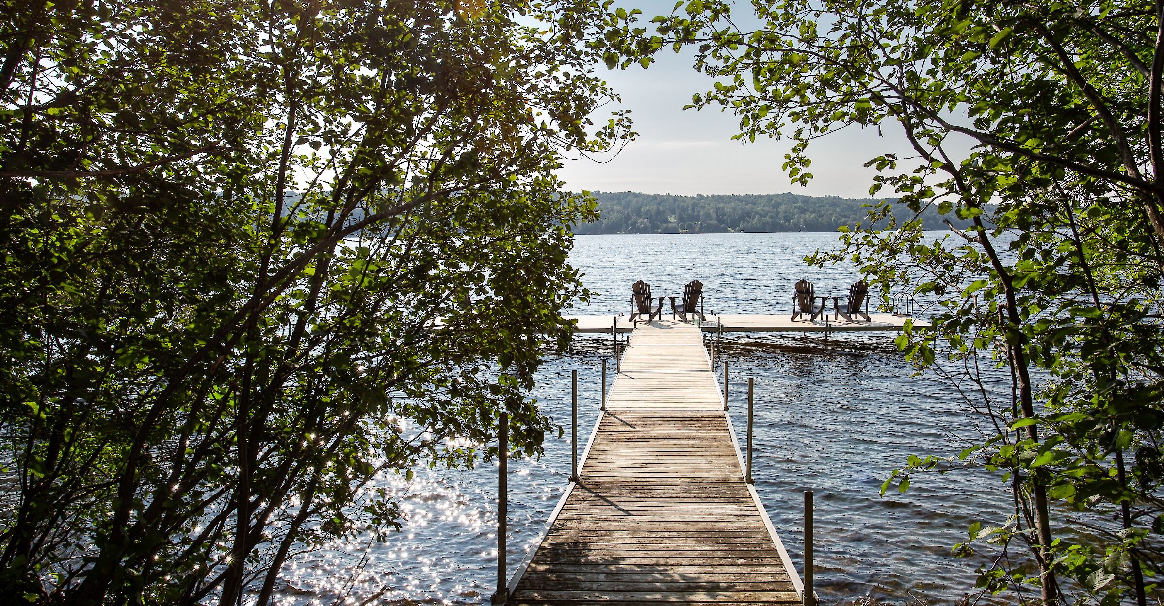 A wooden dock between the trees at the edge of the lake