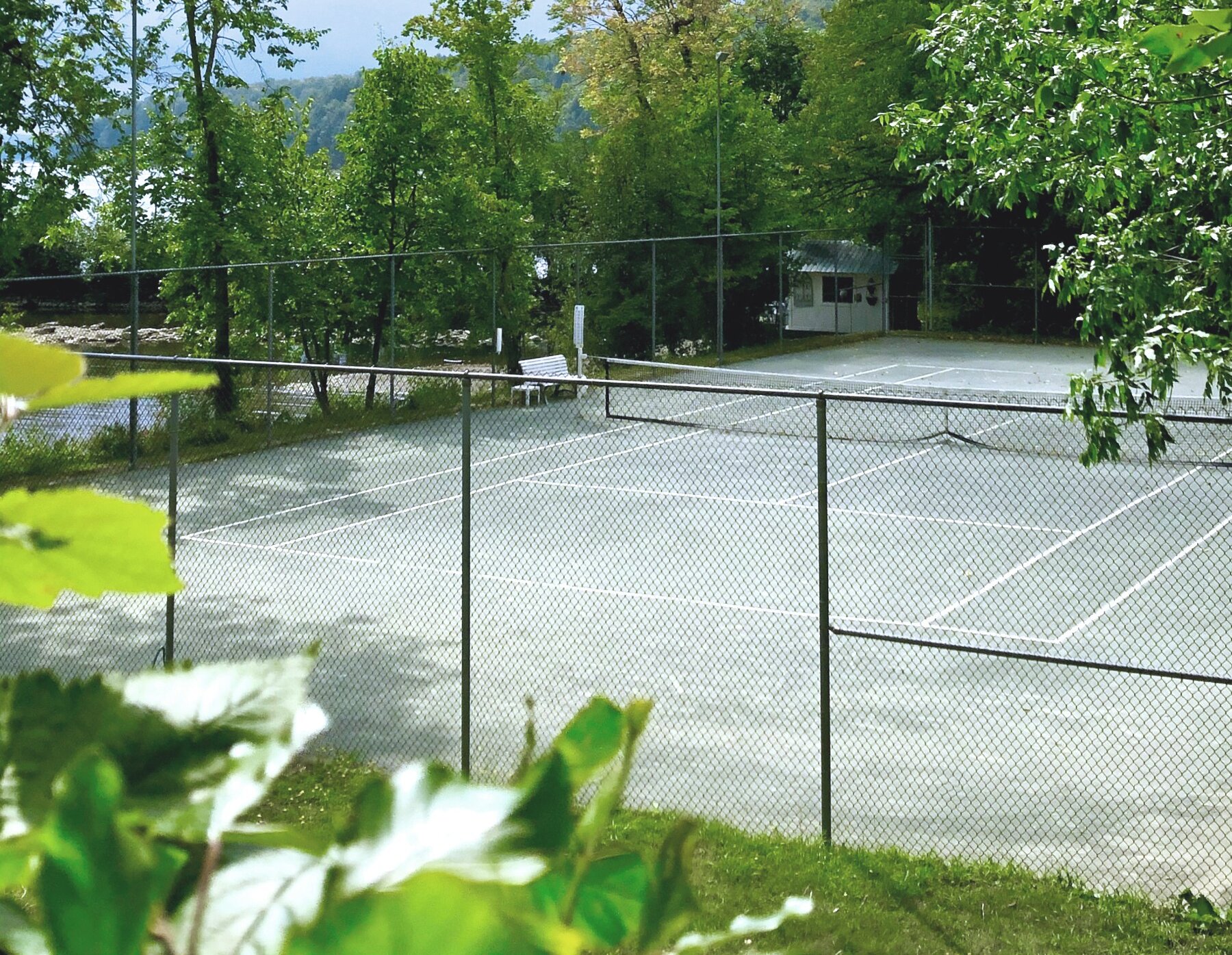 Court de tennis entouré d'arbres