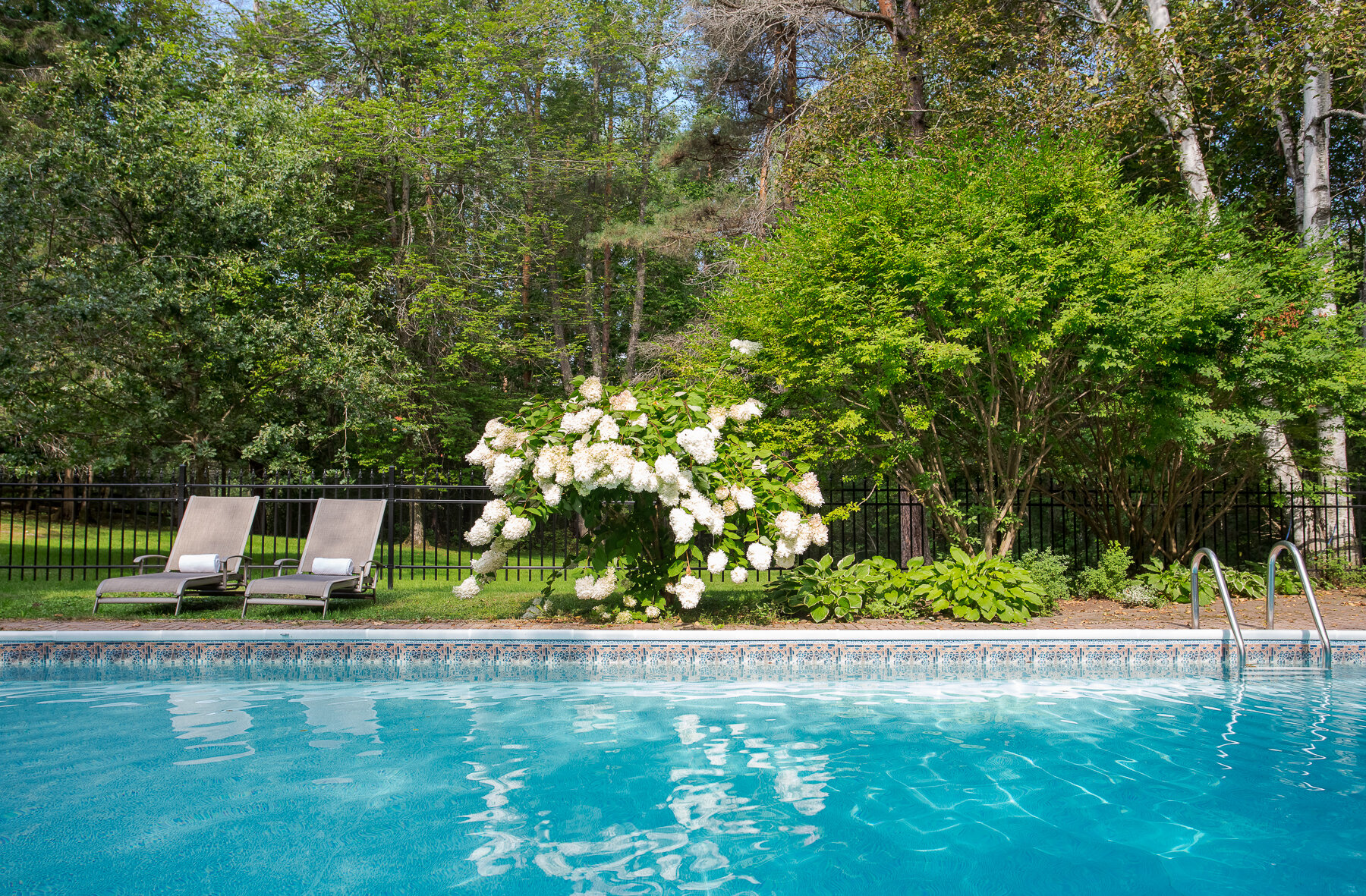 Piscine privée au milieu de la verdure