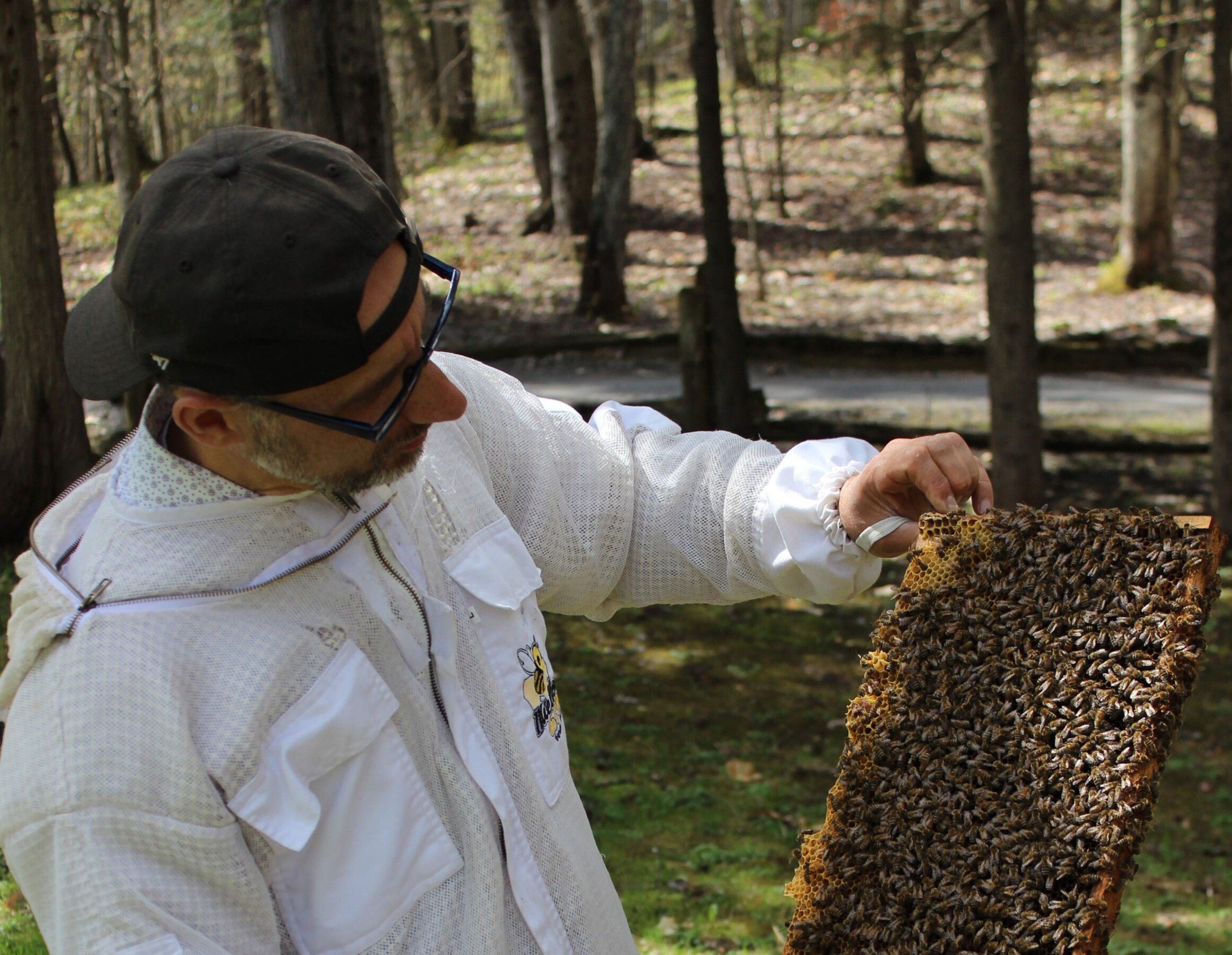 Un apiculteur avec ses abeilles