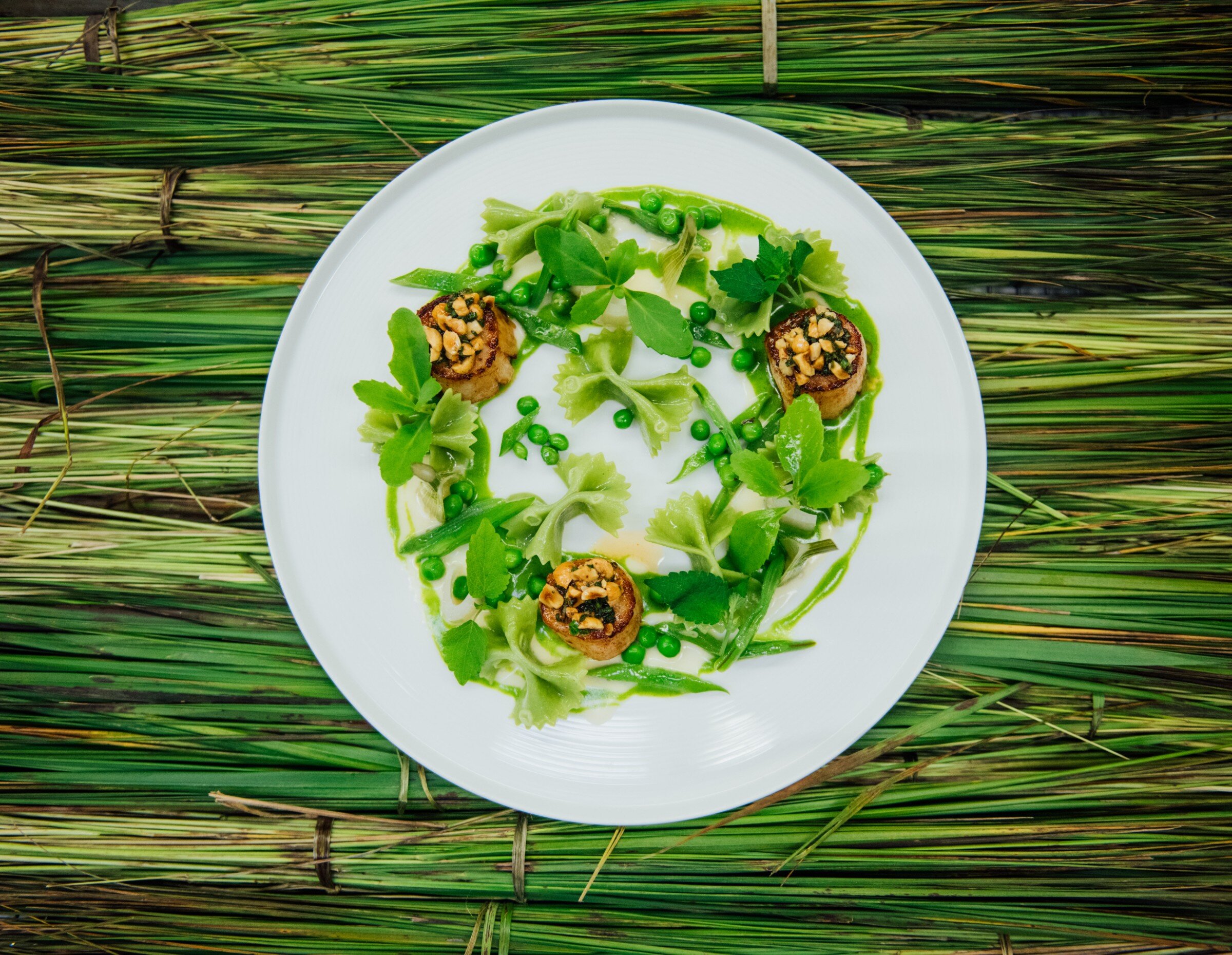 Une assiette sur fond d'herbe fraîche et verte