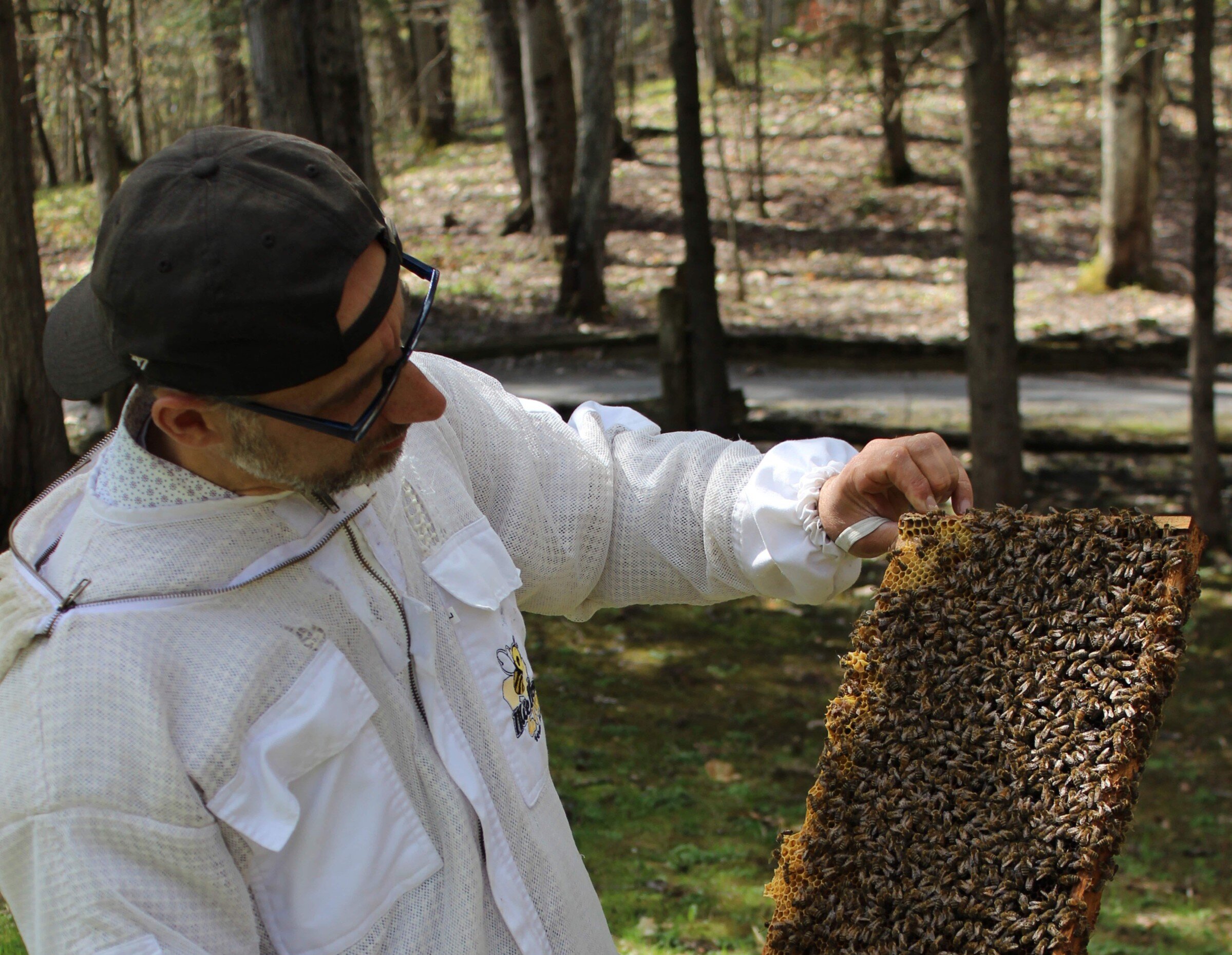 Un apiculteur avec ses abeilles