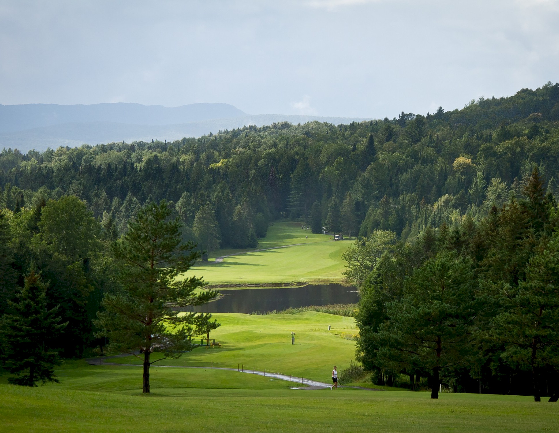 Terrain de golf au cœur des forêts et des montagnes