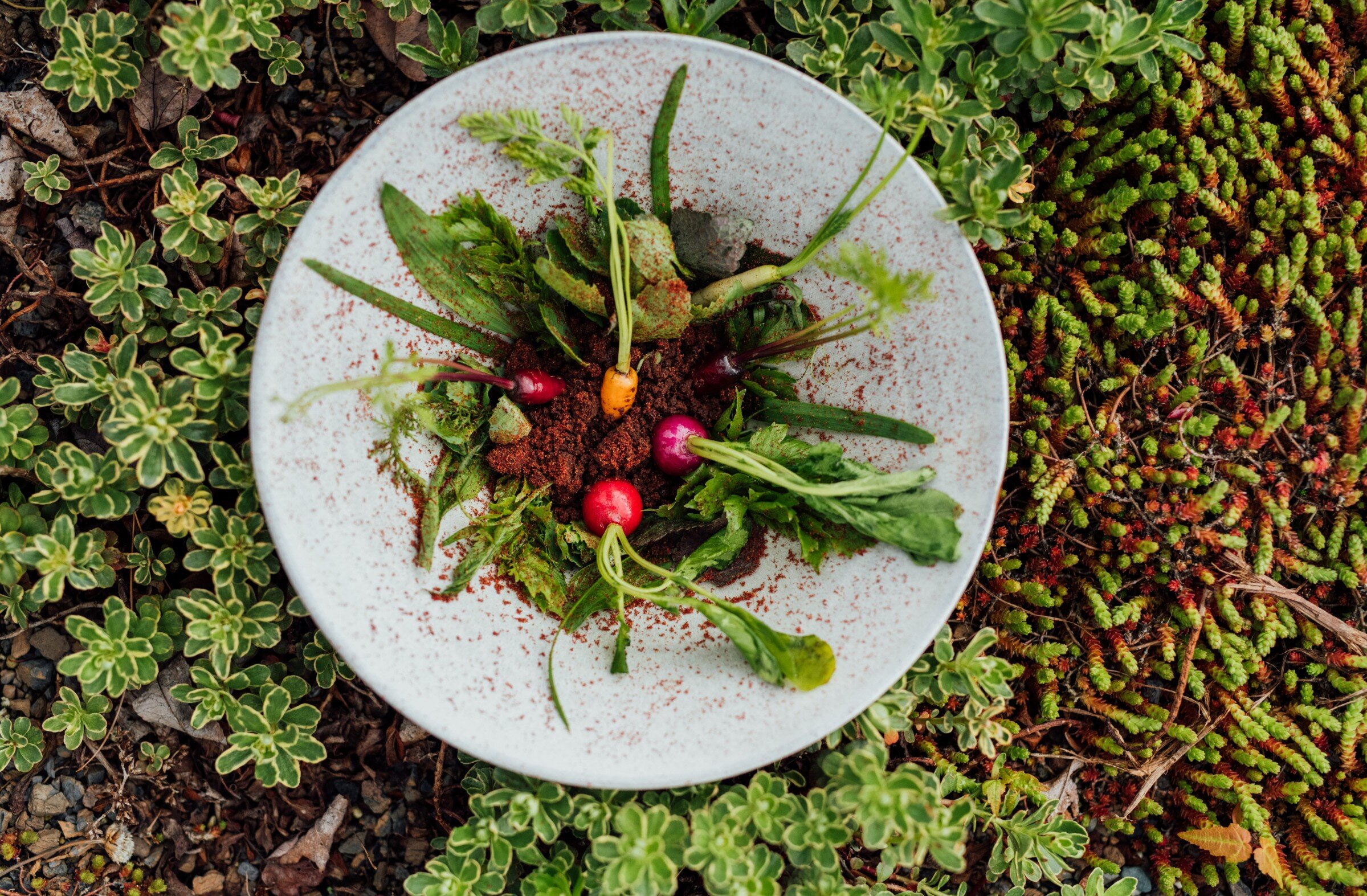 A plate of salad in the wild
