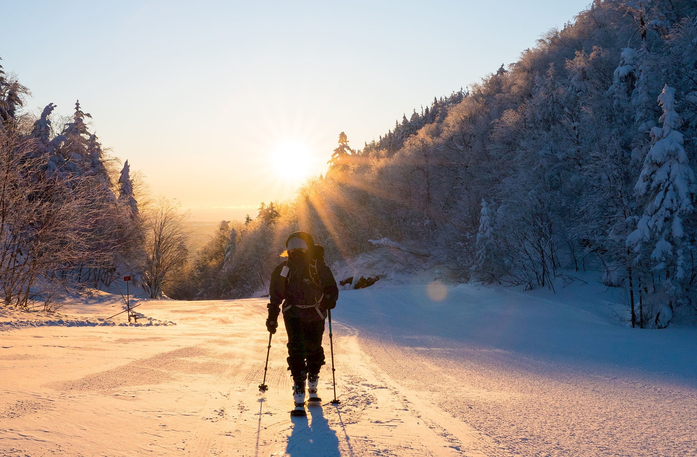 A person cross-country skiing at sunrise