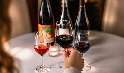 Three glasses of wine during a tasting activity