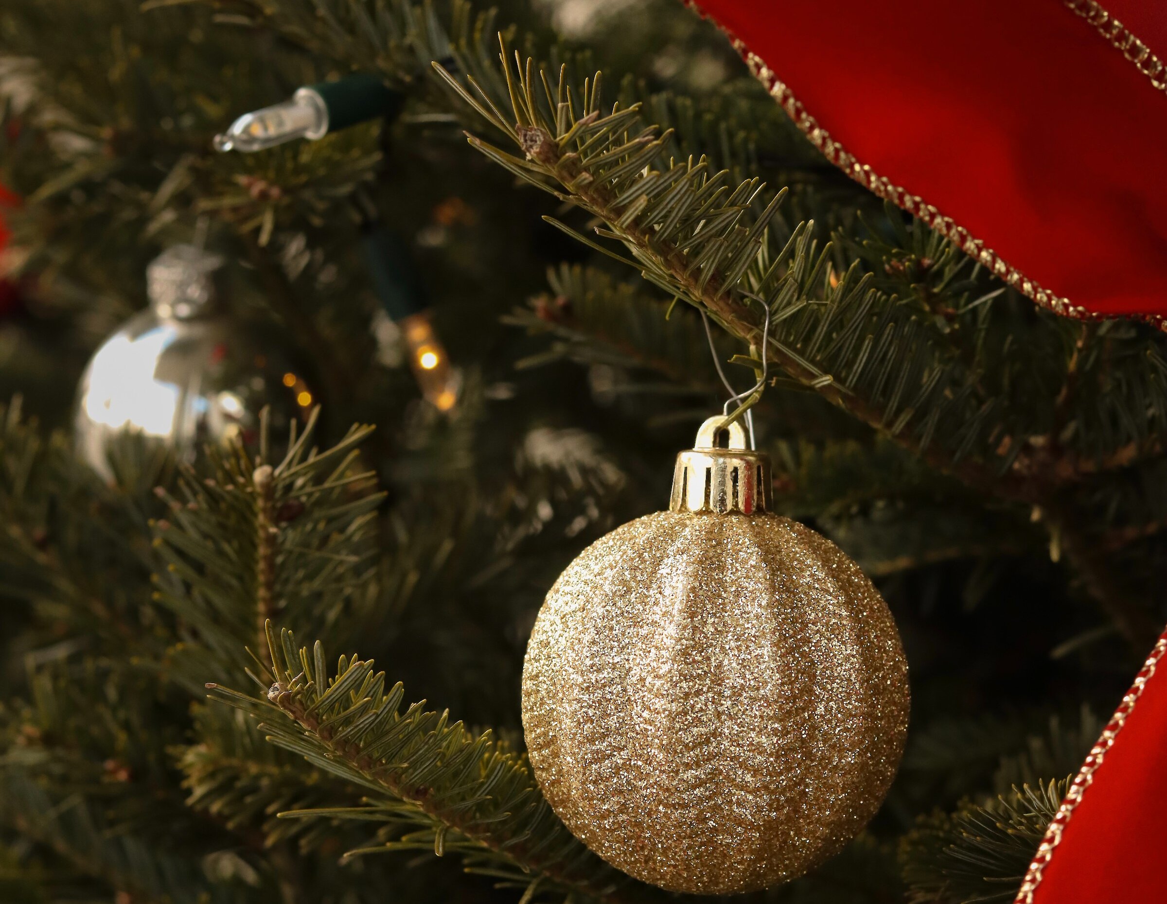 A decoration on a Christmas tree