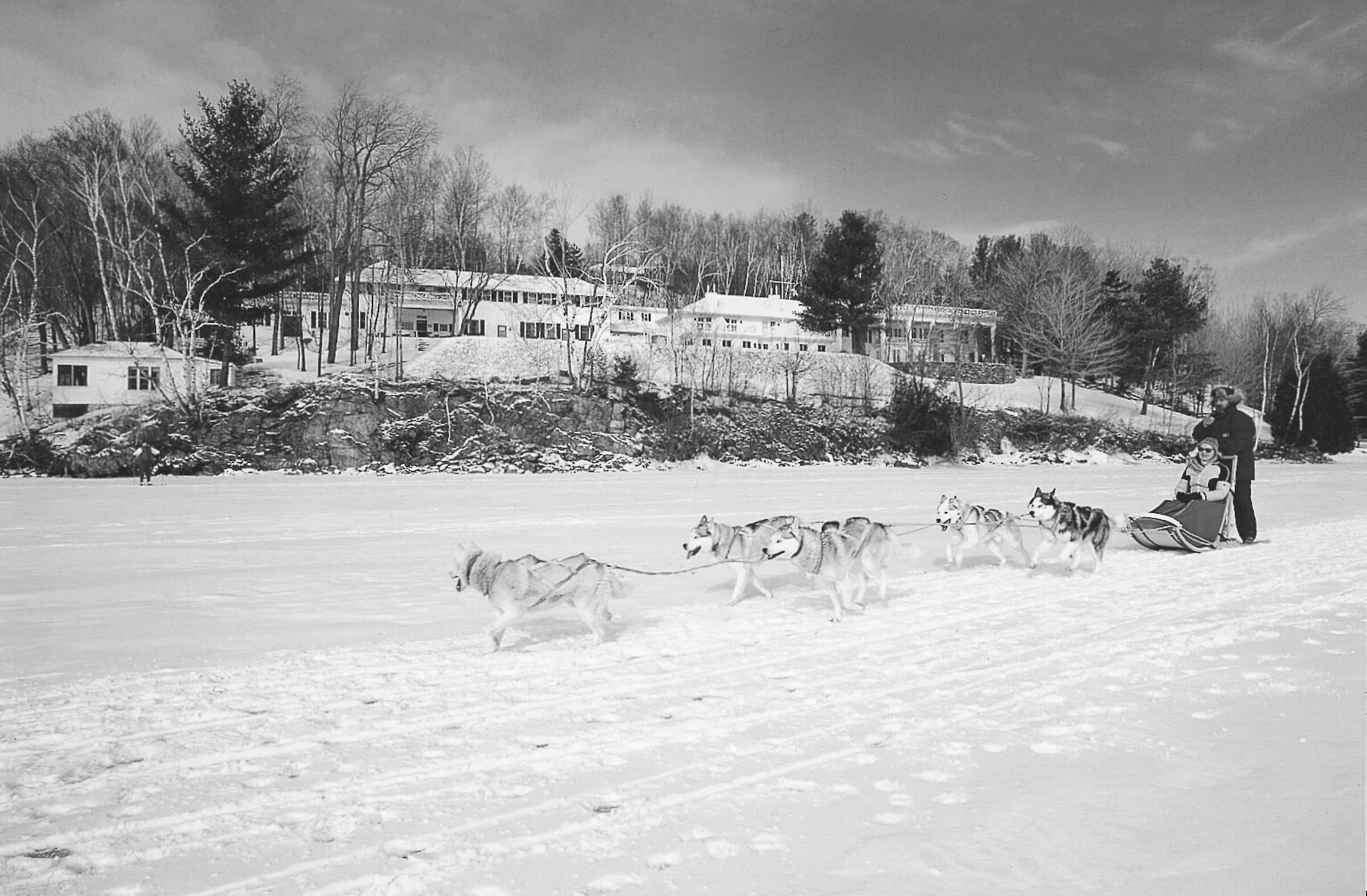 Sled dogs on the lake in front of the hotel