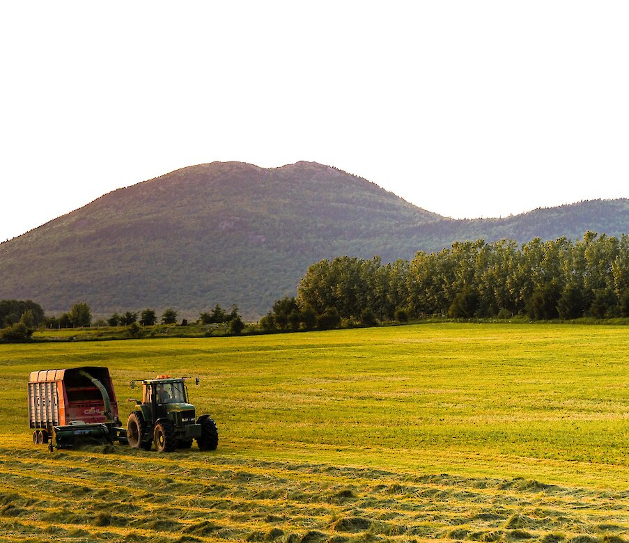Un tracteur qui roule dans des champs au coucher du soleil