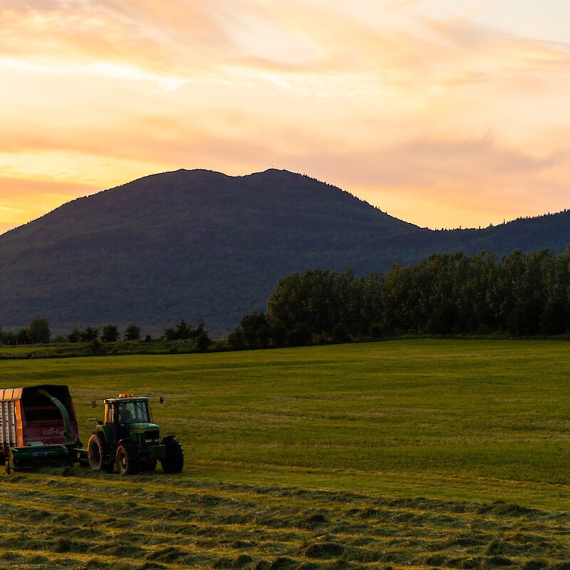 Un tracteur roulant dans un champ