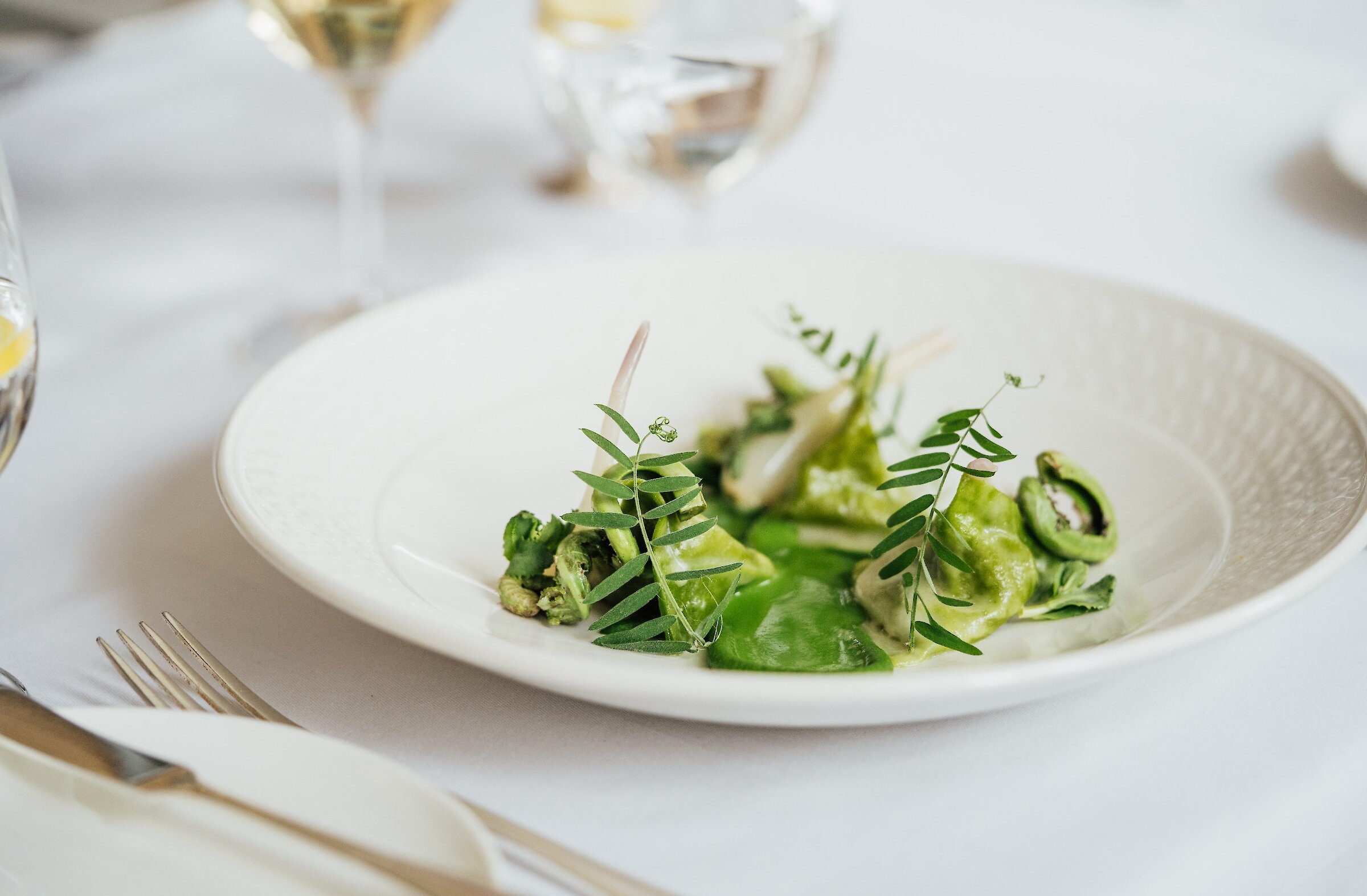 Herbes et tête de fougère dans une assiette